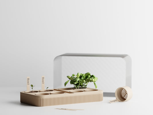 Modern Self watering seed starter kit - Fluted series